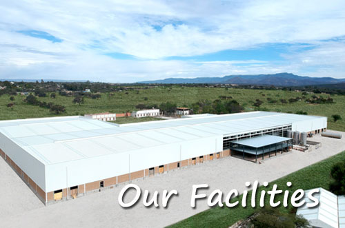 Able Dairies' facilities, where we produce high-quality dairy products as a dairy company in Malaysia